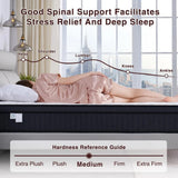 12-Inch King Hybrid Mattress with Memory Foam & Pocket Springs-Bedroom-Krewe Home Interiors