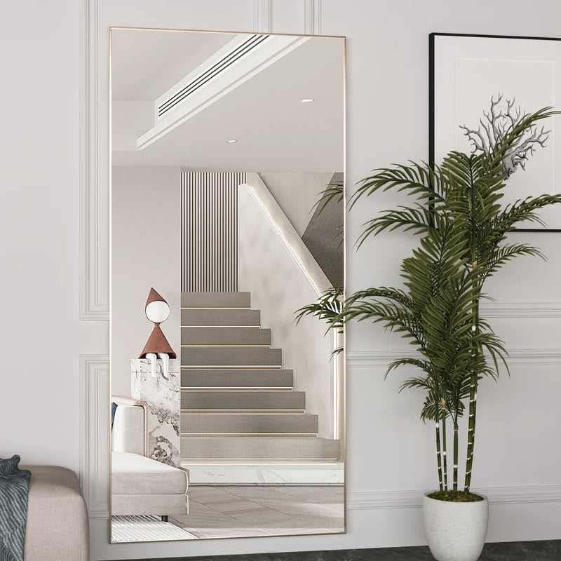 Krewe Home Interiors Full Length Mirror 65" x 24", Floor Standing Black Metal Frame
