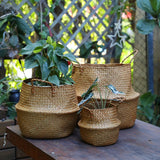 Seaweed Wicker Basket – Hanging Flower Pot & Storage Basket