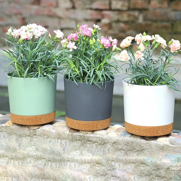 Large Circular Plastic Plant Pot with Tray – Indoor Planter