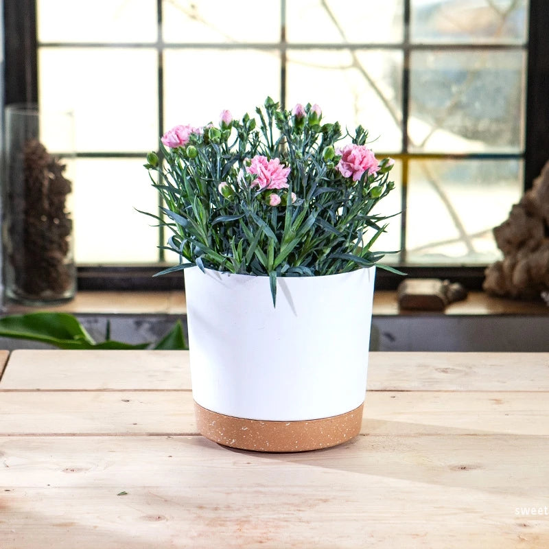 Large Modern Plastic Plant Pot with Drainage Tray-Home decor-Krewe Home Interiors