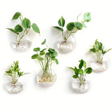 Modern Glass Wall Terrarium – Space-Saving Plant Vase-Home decor-Krewe Home Interiors