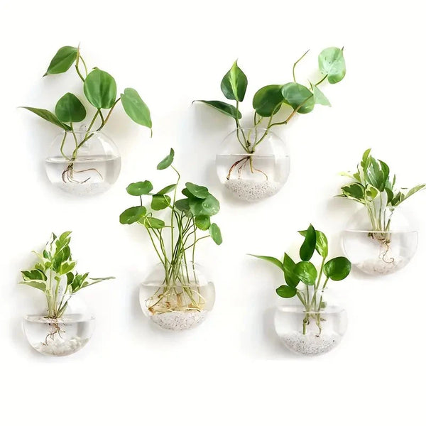 Modern Glass Wall Terrarium – Space-Saving Plant Vase-Home decor-Krewe Home Interiors