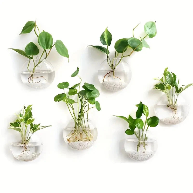 Modern Glass Wall Terrarium – Space-Saving Plant Vase-Home decor-Krewe Home Interiors
