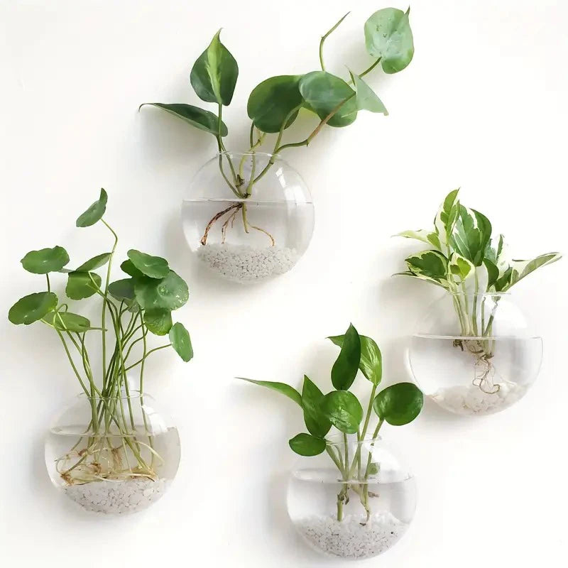 Modern Glass Wall Terrarium – Space-Saving Plant Vase-Home decor-Krewe Home Interiors