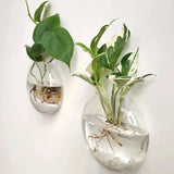 Modern Glass Wall Terrarium – Space-Saving Plant Vase-Home decor-Krewe Home Interiors
