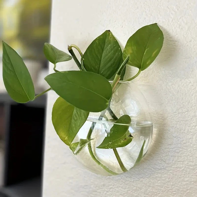 Modern Glass Wall Terrarium – Space-Saving Plant Vase-Home decor-Krewe Home Interiors