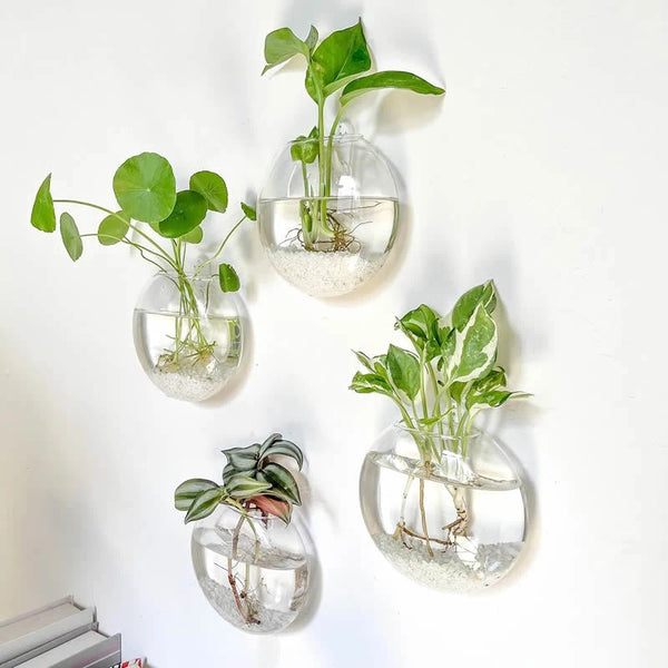 Modern Glass Wall Terrarium – Space-Saving Plant Vase-Home decor-Krewe Home Interiors